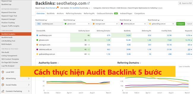 Cach audit backlink toan dien tan suat thuc hien