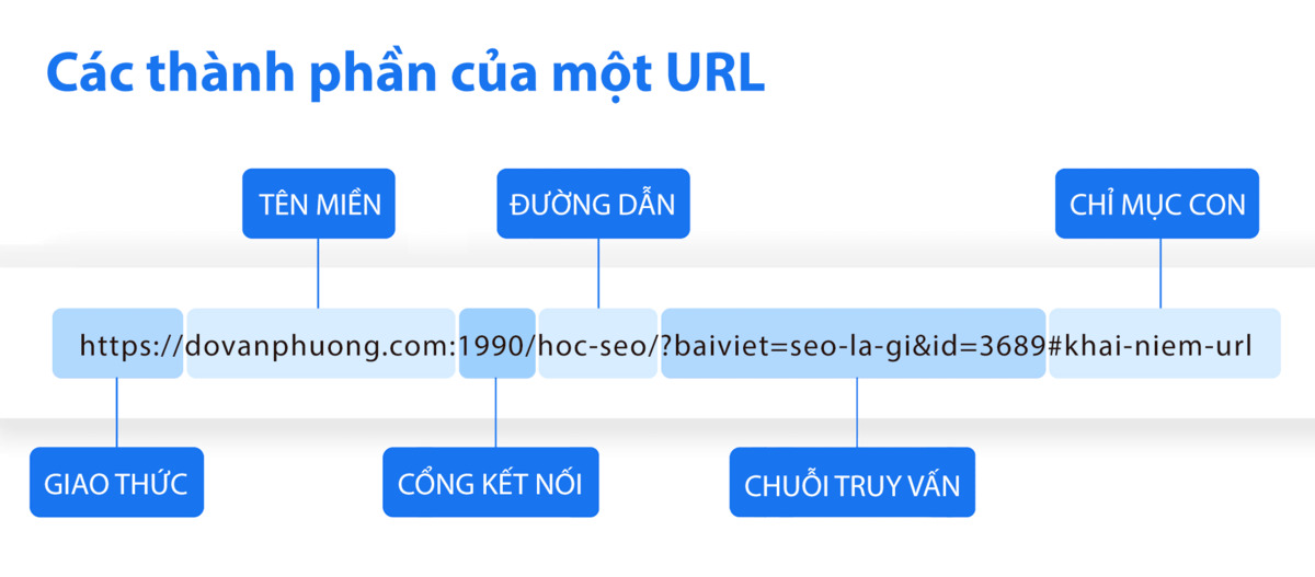 Url chuan seo la gi cau truc url anh huong den seo nhu the nao