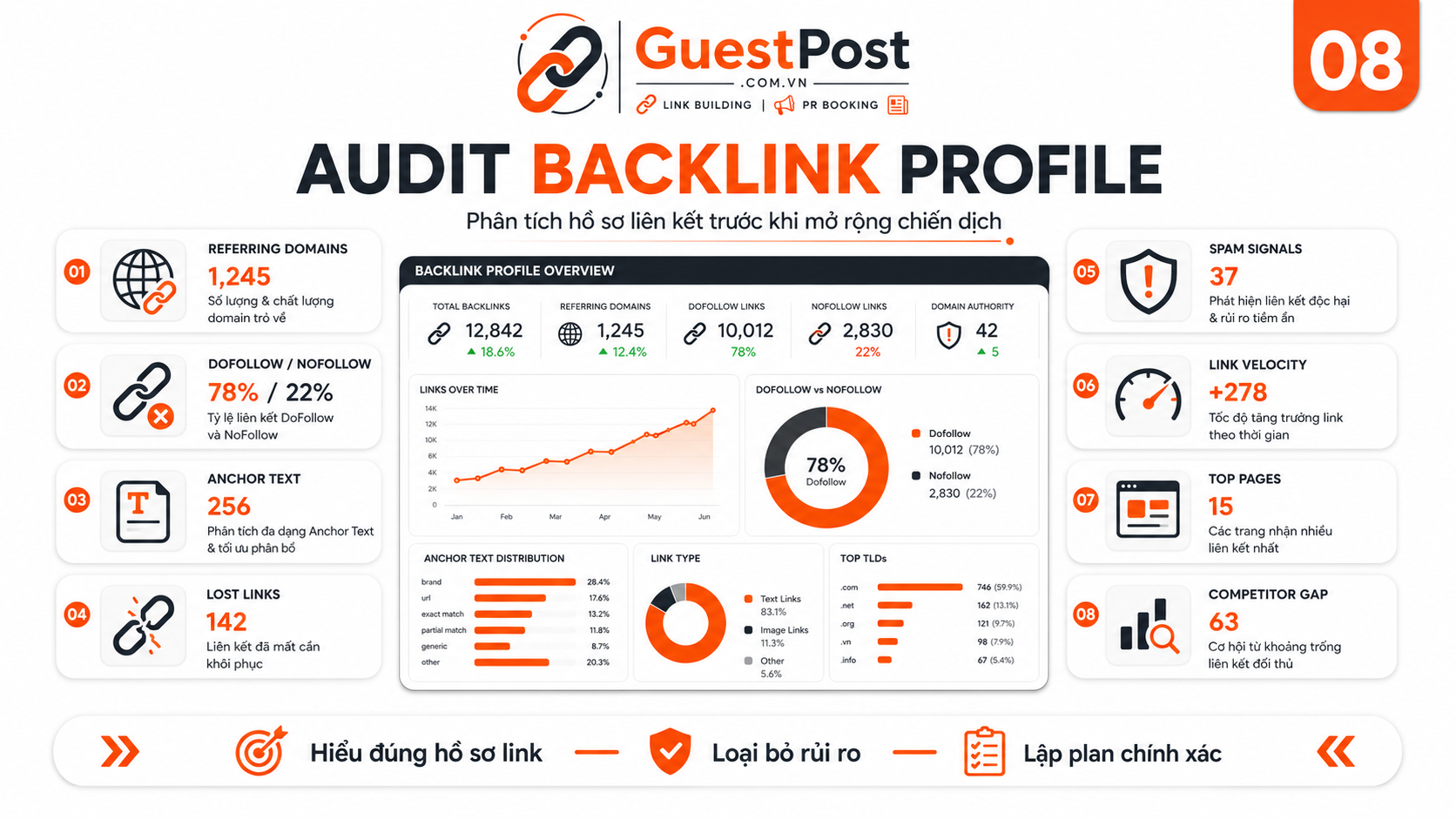 08 audit backlink profile